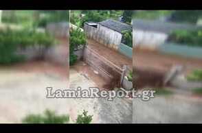 LamiaReport.gr: Παρέσυρε πόρτες και δέντρα ο χείμαρρος στη Στύρφακα