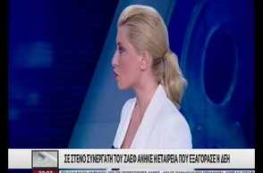 Σε συνεργάτη του Ζάεφ άνηκε η εταιρεία που εξαγόρασε η ΔΕΗ