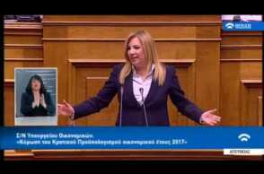 Φώφη Γεννηματά: Έχετε τελειώσει στην συνείδηση του ελληνικού λαού