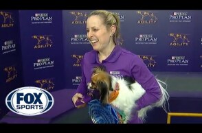 Gabby captures the 8" division title at the 2019 WKC Masters Agility | FOX SPORTS