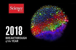 2018 Breakthrough of the Year