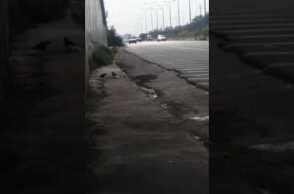 Με την όπισθεν στην Εθνική