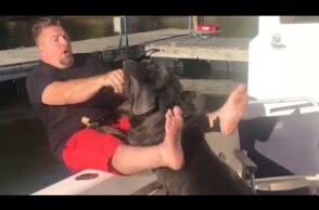 Dog Accidentally Pushes Owner off Boat