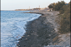 8294-19014.jpg