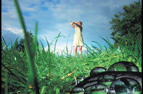 Bασιλεία Στυλιανίδου