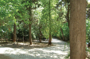 Συμβαίνει στο Παγκράτι