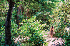 Φωτό: Ορέστης Σεφέρογλου