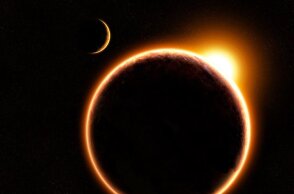 302364-229737.jpg