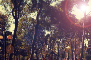 Νέα Φιλαδέλφεια. Ένα από τα ομορφότερα Αθηναϊκά προάστια.