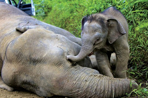 Αναδημοσίευση από το τελευταίο τεύχος του περιοδικού του Γιώργου Χρονά «Οδός Πανός».