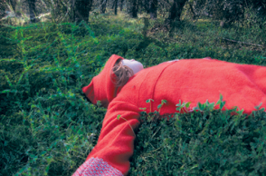 H Κλεοπάτρα Χαρίτου φωτογραφίζει παραμύθια των αδελφών Γκριμ