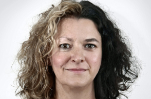 45601-95100.jpg