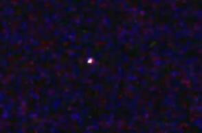 55152-111299.jpg