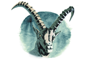 57957-126679.jpg