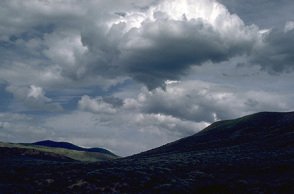 62714-126081.jpg