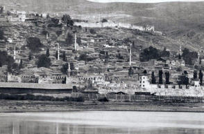 65104-131079.jpg