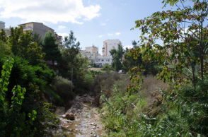 112140-222117.jpg