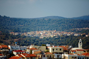 133102-302834.jpg