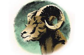 361552-748555.jpg