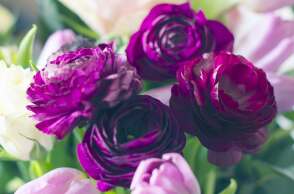 Σήμερα, 23 Νοεμβρίου, γιορτάζει…