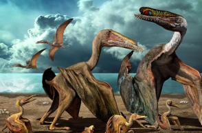 article-pterosaur-reconstrcution-2.adapt_.768.1.jpg