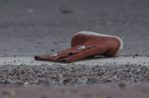 Λαμία, παιδί, παράσυρση