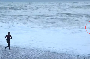 σκύλος, διάσωση