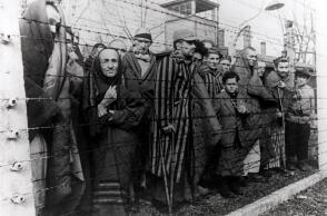70th-anniversary-auschwitz-liberation-1.jpg
