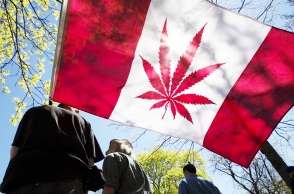canada-marijuana.jpg