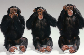 see-no-evil-hear-no-evil-speak-no-evil-monkeys-14750406-1600-1200.jpg