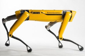robot_portiero_-_boston_dynamics.jpg