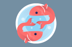fish.jpg