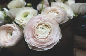 Ποιοι γιορτάζουν σήμερα 30 Μαρτίου; Το εορτολόγιο της Athens Voice σου τους θυμίζει. Μην ξεχάσεις να τους δώσεις τις καλύτερες ευχές σου!