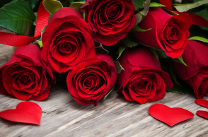 red-roses-4114x2631-petals-hd-4k-6007.jpg