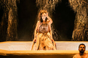 Η βασίλισσα των ξωτικών / Θ. Μπάκα & Χ. Ανδριανός