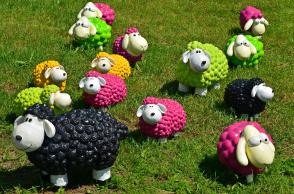 sheep-1437618_1920.jpg
