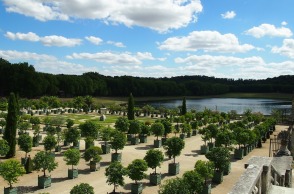 versailles-880355_1920.jpg