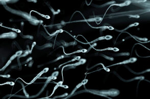 f0077677-human_sperm_artwork-spl.jpg