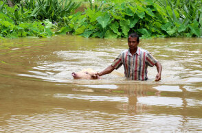 kerala23432.jpg