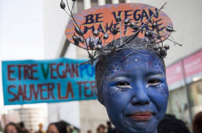 vegan.jpg