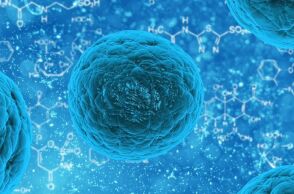 stem-cell-163711_1280.jpg