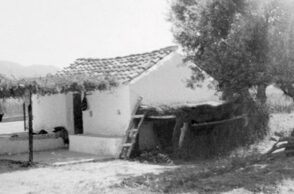 Σταύρος Ζουμπουλάκης «Στ’ αμπέλια» εκδ. Πόλις