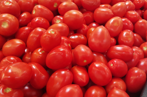 tomatoes-1310603_1920.jpg
