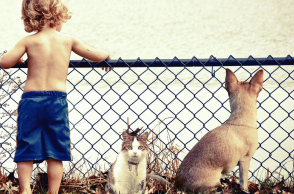 ΚΑΤΟΙΚΙΔΙΑ ΣΤΟ ΣΠΙΤΙ 