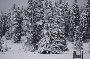 Χιόνια στα ορεινά 