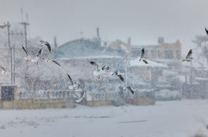 Επανομή Θεσσαλονίκης