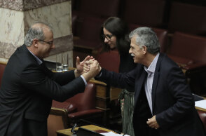 Σπύρος Δανέλλης / Βουλή