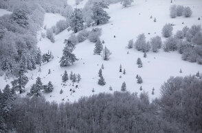 Βασιλίτσα, Κοζάνη