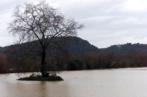 Νομός Ηλείας