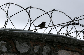 Φυλακές Κορυδαλλού